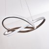 Pitasch Pendant Light LED matt nickel, 1-light source