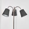 Ascona Floor Lamp matt nickel, 3-light sources