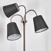 Ascona Floor Lamp matt nickel, 3-light sources