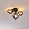 Chariton Ceiling Light black, 3-light sources