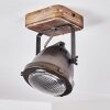 GLOSTRUP Ceiling Light brown, stainless steel, 1-light source