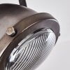 GLOSTRUP Ceiling Light brown, stainless steel, 1-light source