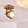 GLOSTRUP Ceiling Light brown, stainless steel, 1-light source