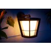 Philips HUE AMBIANCE WHITE & COLOR ECONIC Wall Light LED black, 1-light source, Colour changer