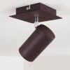ZUOZ Ceiling Light rust-coloured, 1-light source