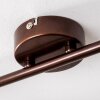 Cancun ceiling spotlight brown, 6-light sources