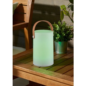 Reality ARUBA Outdoor Light LED white, 1-light source, Colour changer