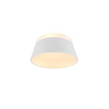 Ceiling Light Trio Leuchten BARONESS white, 3-light sources
