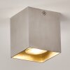 Ceiling Light Curacao silver, 1-light source