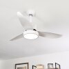 DOHA ceiling fan LED white, 1-light source, Remote control