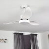 DOHA ceiling fan LED white, 1-light source, Remote control