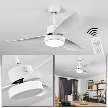 DOHA ceiling fan LED white, 1-light source, Remote control