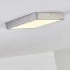 Broglen Ceiling Light LED matt nickel, 1-light source