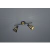 Trio-Leuchten Houston Ceiling Light black, 2-light sources