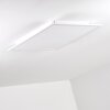 Salmi Ceiling Light LED aluminium, white, 1-light source, Remote control