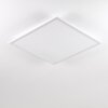 Salmi Ceiling Light LED aluminium, white, 1-light source, Remote control