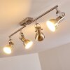 Danikon Ceiling Light matt nickel, 4-light sources