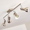 Danikon Ceiling Light matt nickel, 4-light sources