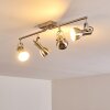 Danikon Ceiling Light matt nickel, 4-light sources