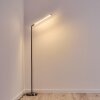 DEJE Floor Lamp LED matt nickel, 1-light source