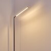 DEJE Floor Lamp LED matt nickel, 1-light source