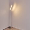 DEJE Floor Lamp LED matt nickel, 1-light source