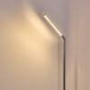 DEJE Floor Lamp LED matt nickel, 1-light source