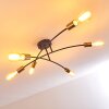 Duvin Ceiling Light black, 6-light sources