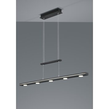 Trio LACAL Pendant Light LED matt nickel, 7-light sources
