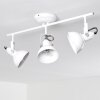 TINA ceiling light white, 3-light sources