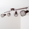 Cancun ceiling spotlight brown, 4-light sources