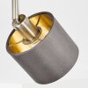 TIBRO Ceiling Light brass, matt nickel, 1-light source