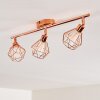 FERRAND Ceiling light LED copper, 3-light sources