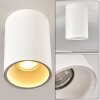 Ceiling Light Grenada white, 1-light source