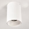 Ceiling Light Grenada white, 1-light source