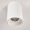 Ceiling Light Grenada white, 1-light source