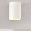 Ceiling Light Grenada white, 1-light source