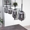 VERBANIA Pendant Light black, 4-light sources