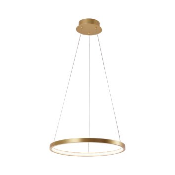 Pendant Light Leuchten Direkt CIRCLE LED gold, 1-light source
