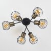 Bacau Ceiling Light black, 6-light sources
