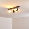 Danikon Ceiling Light brown, 3-light sources