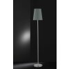 Wofi FYNN Floor Lamp grey, 1-light source