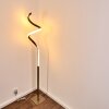 Pitasch Floor Lamp LED matt nickel, 1-light source