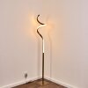 Pitasch Floor Lamp LED matt nickel, 1-light source