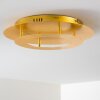 Springdale ceiling light LED gold, 1-light source