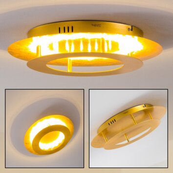 Springdale ceiling light LED gold, 1-light source