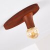 KIMSTAD Ceiling Light rust-coloured, 1-light source