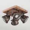 GLOSTRUP Ceiling Light brown, stainless steel, 4-light sources