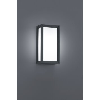 Trio TIMOK Outdoor Wall Light anthracite, 1-light source