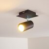 Ceiling Light Zuoz black, 1-light source
